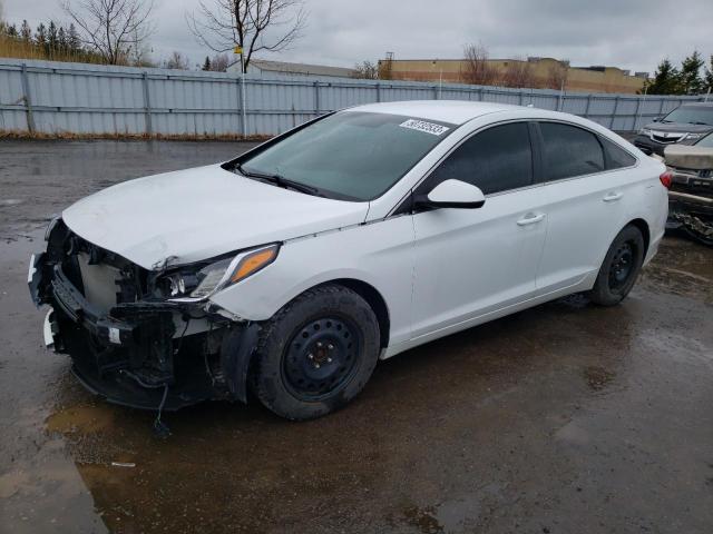 HYUNDAI SONATA SE 2016 with VIN 5NPE24AF5GH391640 - Photo from auction