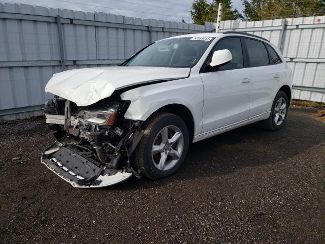 AUDI Q5 PREMIUM 2016 with VIN WA1C2AFP8GA102209 - Photo from auction