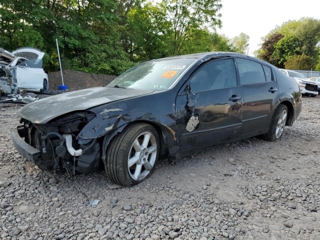 NISSAN MAXIMA SE 2004 مع رقم تعريف المركبة 1N4BA41E34C874344 - صورة من المزاد