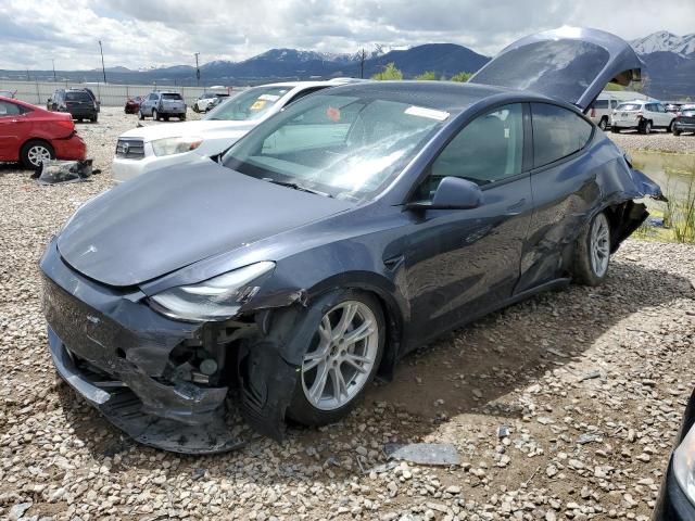 TESLA MODEL Y 2022 with VIN 7SAYGDEE9NF443611 - Photo from auction