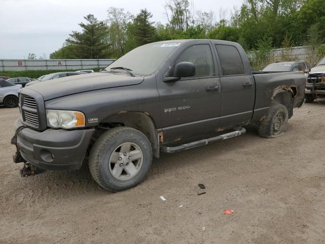 DODGE RAM 1500 S 2003 with VIN 1D7HU18D73S245591 - Photo from auction