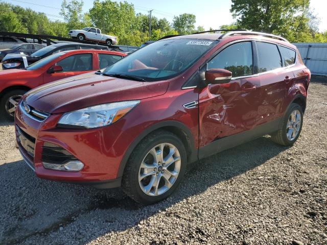 FORD ESCAPE SEL 2013 with VIN 1FMCU0H91DUD52096 - Photo from auction