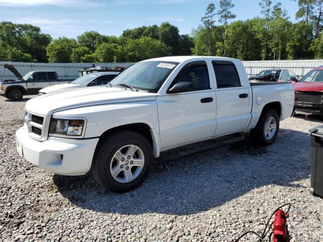 DODGE DAKOTA SLT 2011 with VIN 1D7RE3GK2BS549584 - Photo from auction
