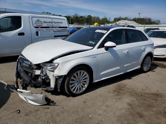 AUDI A3 E-TRON 2017 with VIN WAUUPBFF0HA055782 - Photo from auction