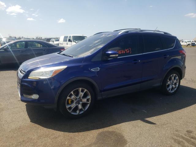 FORD ESCAPE SEL 2013 with VIN 1FMCU0HX4DUD55153 - Photo from auction