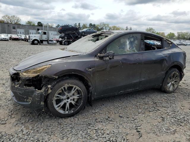 TESLA MODEL Y 2023 with VIN 7SAYGDEE6PA035955 - Photo from auction