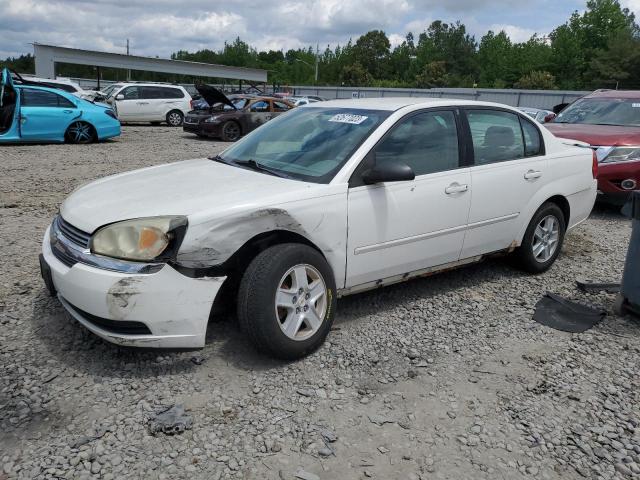 CHEVROLET MALIBU LS 2005 with VIN 1G1ZT52815F297937 - Photo from auction