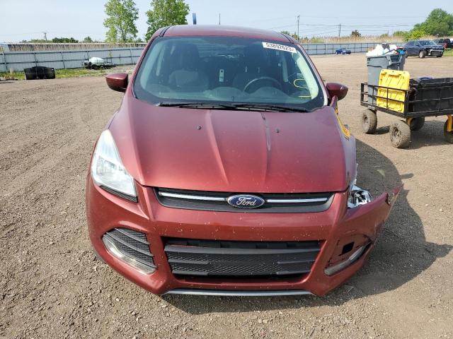 Photo 5 from auction – 2014 FORD ESCAPE SE with VIN 1FMCU0GX4EUD85773