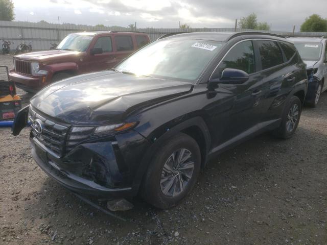 HYUNDAI TUCSON BLU 2023 with VIN KM8JBCA17PU092407 - Photo from auction