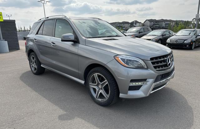MERCEDES-BENZ ML 350 BLU 2014 with VIN 4JGDA2EB2EA403043 - Photo from auction