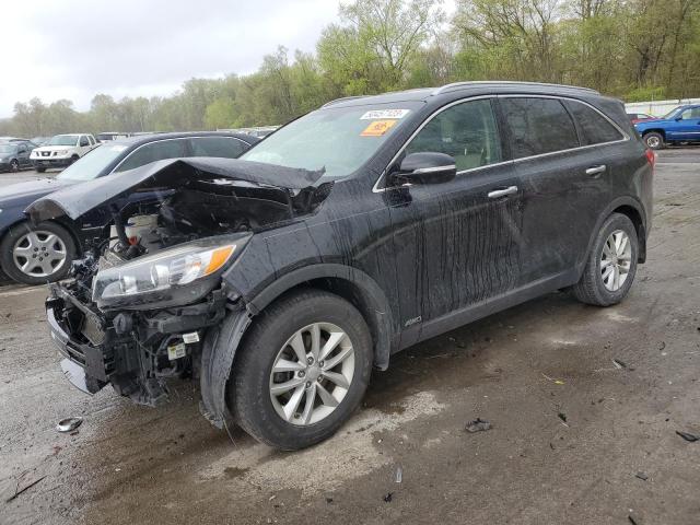 KIA SORENTO LX 2016 with VIN 5XYPGDA37GG035245 - Photo from auction