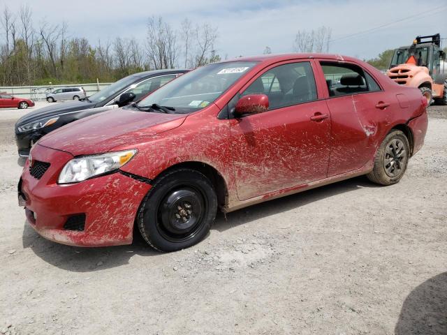 TOYOTA COROLLA BA 2010 with VIN 2T1BU4EE6AC534846 - Photo from auction