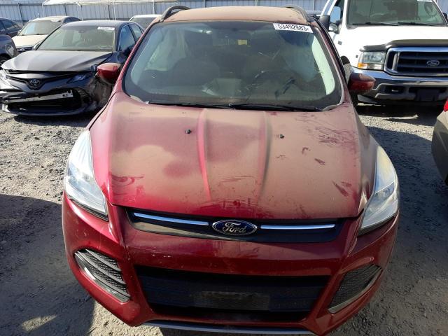 Photo 5 from auction – 2014 FORD ESCAPE SE with VIN 1FMCU0GXXEUB32313
