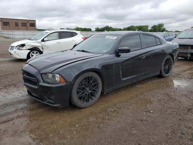 DODGE CHARGER PO 2014 with VIN 2C3CDXAT8EH173534 - Photo from auction