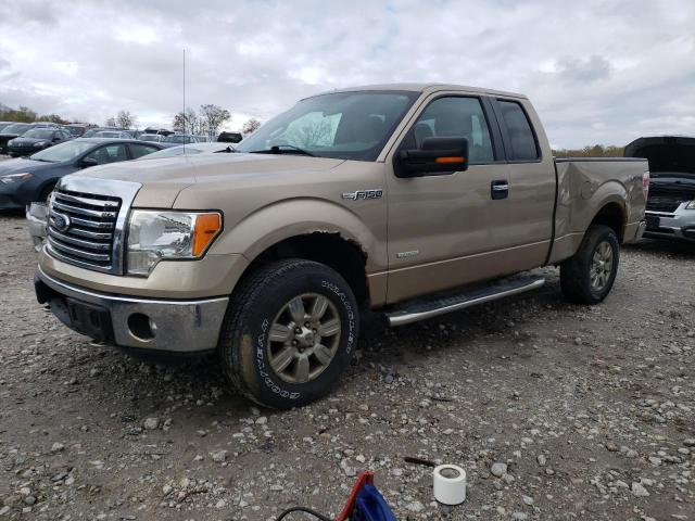 FORD F-150 2012 with VIN 1FTFX1ET9CFA32865 - Photo from auction