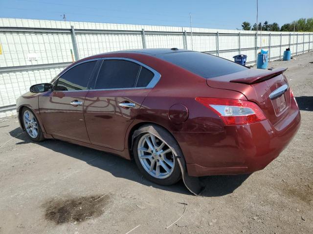 Photo 2 from auction – 2009 NISSAN MAXIMA S with VIN 1N4AA51E59C829897