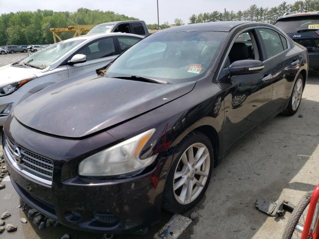 NISSAN MAXIMA S 2010 with VIN 1N4AA5AP3AC818273 - Photo from auction