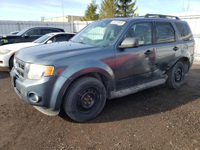 FORD ESCAPE XLT 2010 with VIN 1FMCU9DG8AKC85903 - Photo from auction