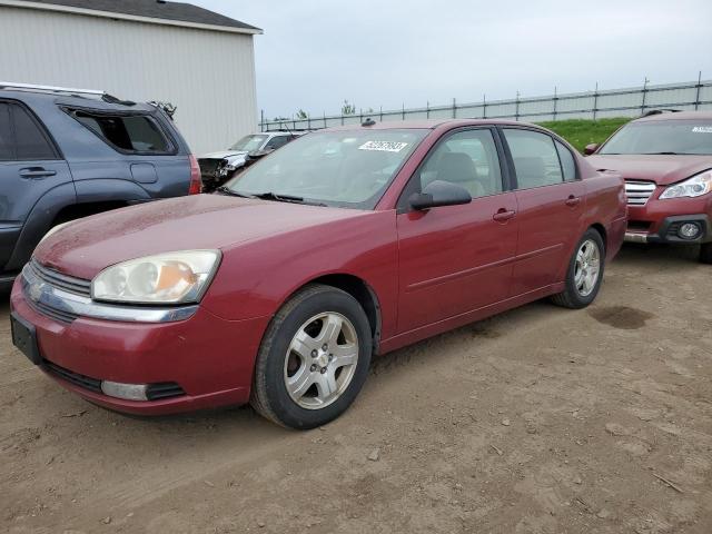 CHEVROLET MALIBU LT 2005 with VIN 1G1ZU54855F159411 - Photo from auction