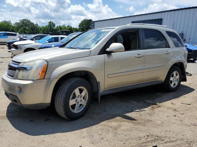 CHEVROLET EQUINOX LT 2009 with VIN 2CNDL33F596221801 - Photo from auction