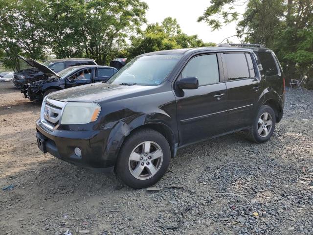 HONDA PILOT EXL 2010 with VIN 5FNYF4H53AB009237 - Photo from auction