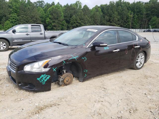 NISSAN MAXIMA S 2010 with VIN 1N4AA5AP9AC828547 - Photo from auction