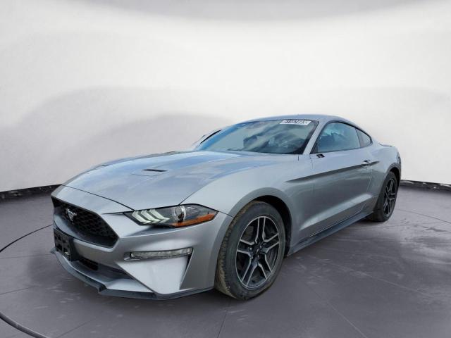 FORD MUSTANG 2023 with VIN 1FA6P8THXP5105234 - Photo from auction