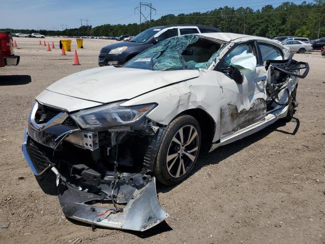NISSAN MAXIMA 3.5 2017 with VIN 1N4AA6AP3HC440049 - Photo from auction