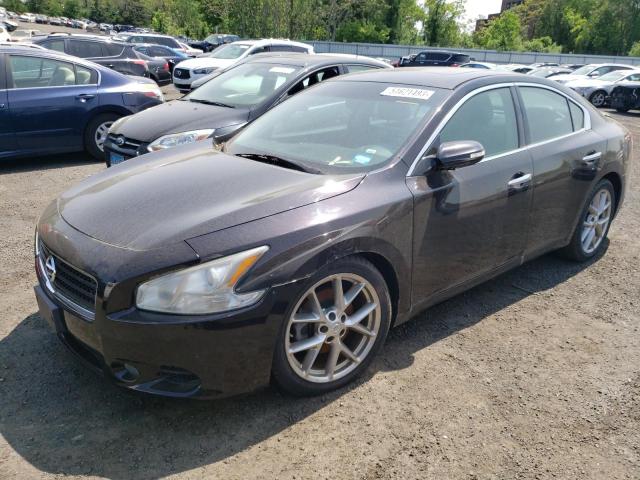 NISSAN MAXIMA 2010 with VIN 1N4AA5APXAC818562 - Photo from auction
