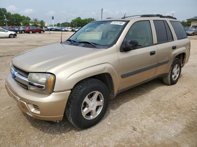 CHEVROLET TRAILBLAZE 2005 with VIN 1GNDS13S452132938 - Photo from auction