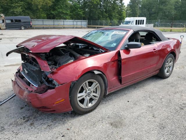 FORD MUSTANG 2014 with VIN 1ZVBP8EM4E5278955 - Photo from auction