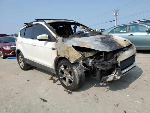 Photo 4 from auction – 2014 FORD ESCAPE SE with VIN 1FMCU0GX0EUC34395