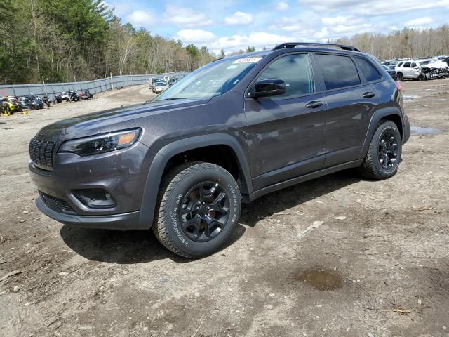 JEEP CHEROKEE L 2022 with VIN 1C4PJMCX6ND556406 - Photo from auction