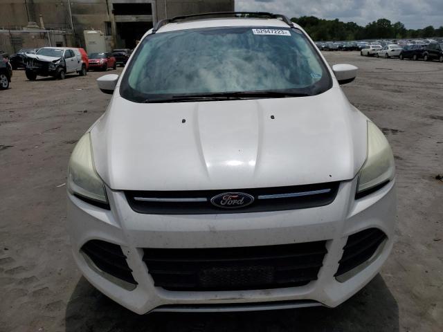 Photo 5 from auction – 2013 FORD ESCAPE SE with VIN 1FMCU0GX5DUC31202