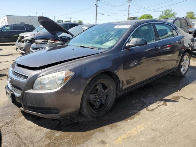 CHEVROLET MALIBU LS 2011 with VIN 1G1ZA5EU8BF344603 - Photo from auction