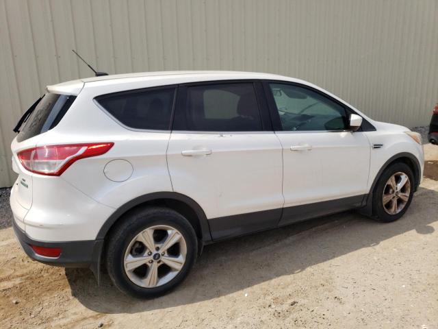 Photo 3 from auction – 2014 FORD ESCAPE SE with VIN 1FMCU0GX9EUB97721