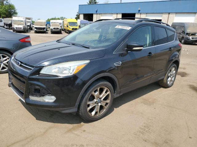 FORD ESCAPE SEL 2013 with VIN 1FMCU0HX5DUB13973 - Photo from auction