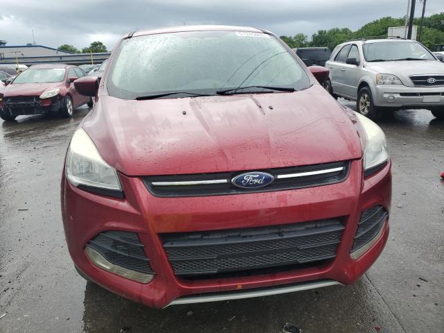 Photo 5 from auction – 2014 FORD ESCAPE SE with VIN 1FMCU0GX1EUC99692