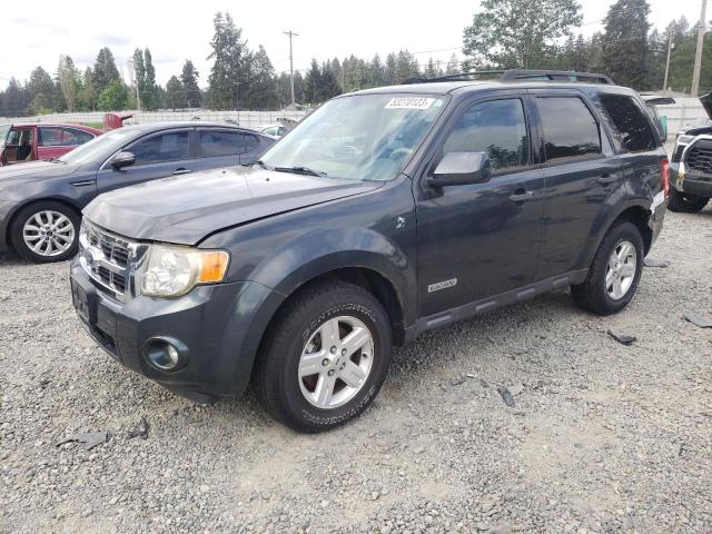 FORD ESCAPE HEV 2008 with VIN 1FMCU59H18KC01229 - Photo from auction