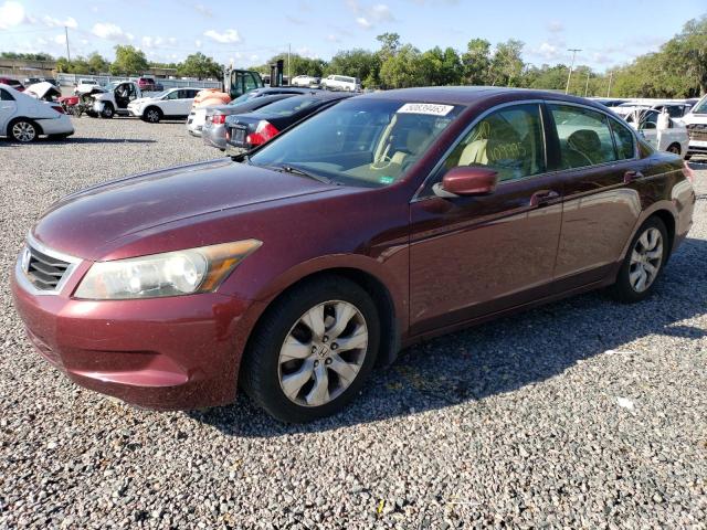 HONDA ACCORD EXL 2010 with VIN 1HGCP2F84AA122925 - Photo from auction