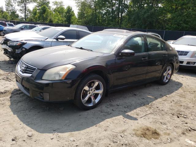NISSAN MAXIMA SE 2008 with VIN 1N4BA41E18C817579 - Photo from auction