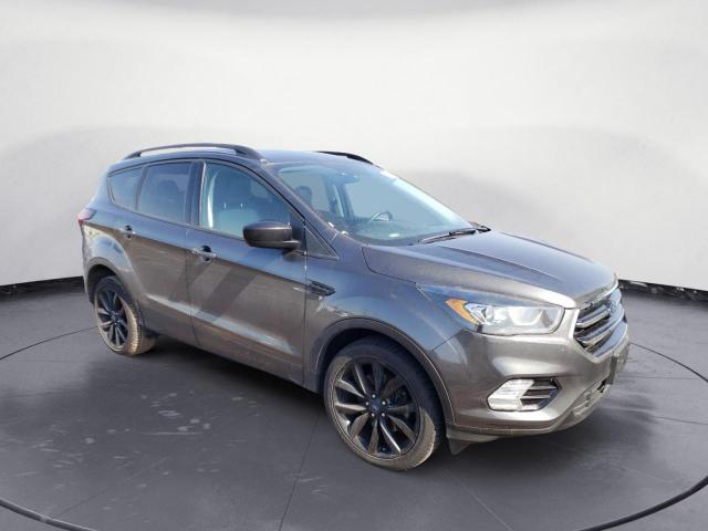 Photo 4 from auction – 2019 FORD ESCAPE SE with VIN 1FMCU9GD2KUA72873