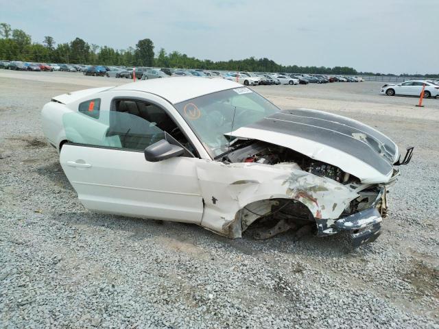 Photo 4 from auction – 2005 FORD MUSTANG with VIN 1ZVFT80N355251811