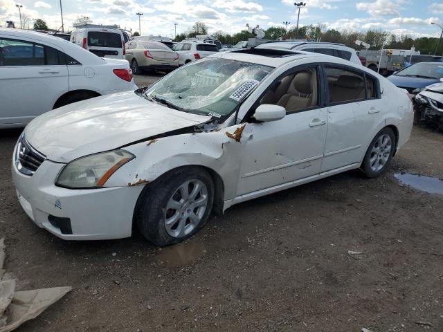 NISSAN MAXIMA SE 2008 with VIN 1N4BA41E98C830158 - Photo from auction