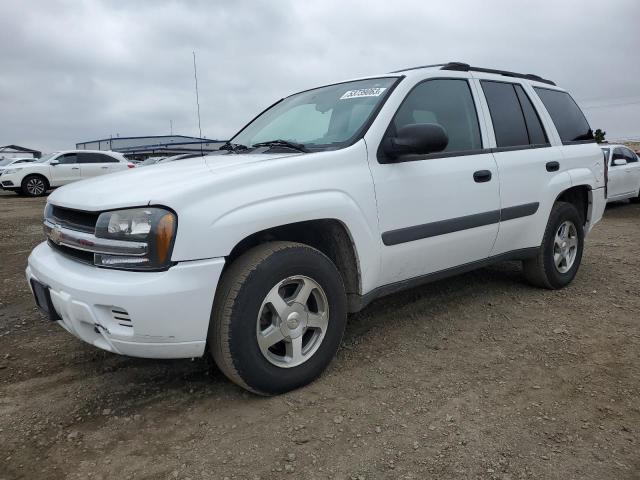 CHEVROLET TRAILBLAZE 2005 with VIN 1GNDT13S952205878 - Photo from auction