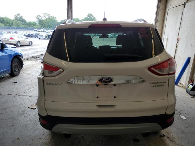Photo 6 from auction – 2014 FORD ESCAPE TIT with VIN 1FMCU0J94EUB21978