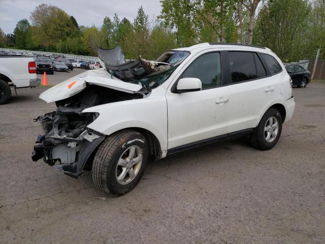 Photo 1 from auction – 2007 HYUNDAI SANTA FE G with VIN 5NMSG13D47H065470