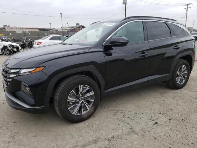 HYUNDAI TUCSON BLU 2022 with VIN KM8JBCA10NU030084 - Photo from auction