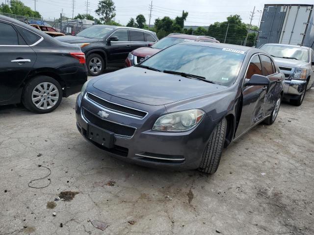 CHEVROLET MALIBU 1LT 2010 with VIN 1G1ZC5EB7A4119561 - Photo from auction