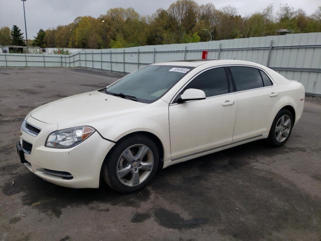 CHEVROLET MALIBU 2LT 2010 with VIN 1G1ZD5EB8A4156020 - Photo from auction